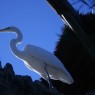 At the Sunken Japanese Gardens in San Antonio