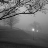 Church HIll at Thanksgiving, Richmond, VA