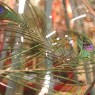 Peacock feathers in a glass ball. Portland, OR