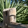 Cactus and Wood in Texas